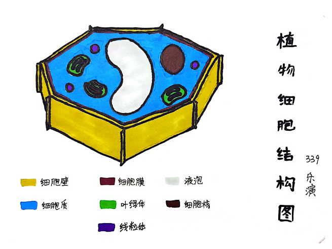 巧手生物 “ 胞”罗万象